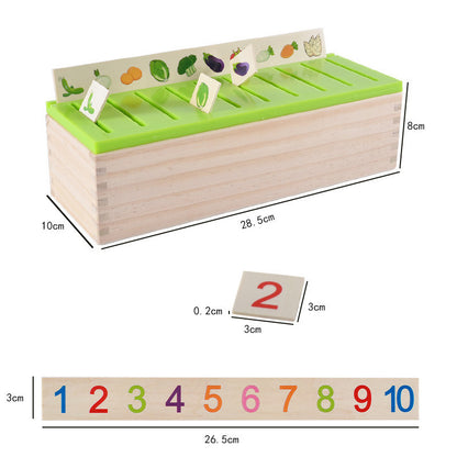 Knowledge Classification Box – Organize & Learn with Style
