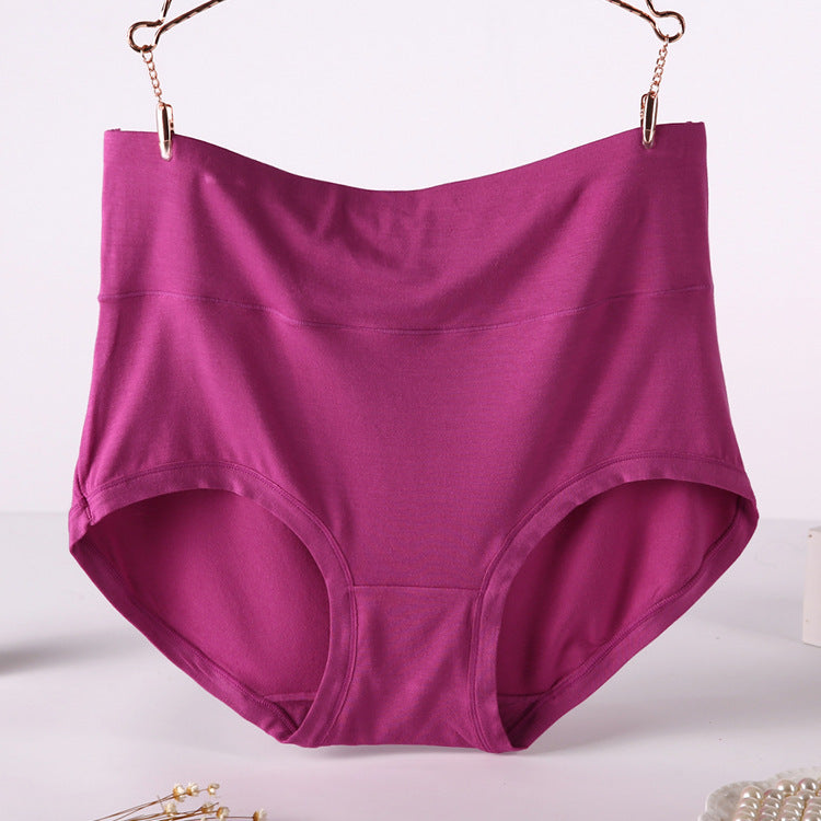 Ultra-Soft Modal High Waist Maternity Briefs