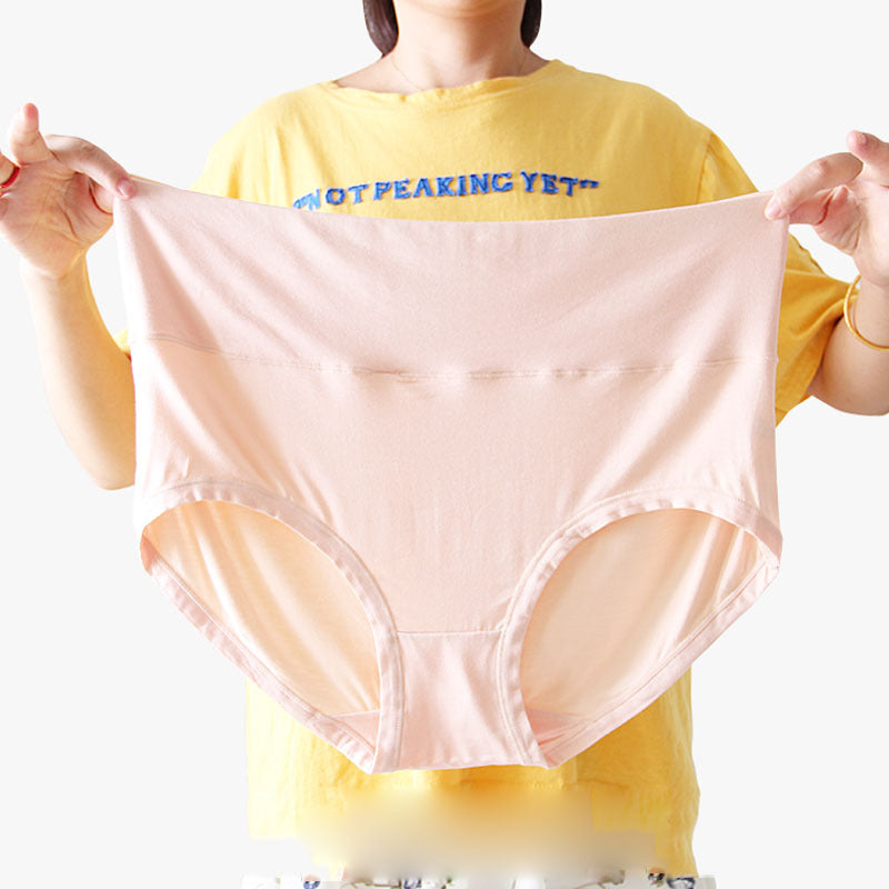 Ultra-Soft Modal High Waist Maternity Briefs