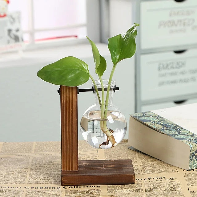 Green Haven Desktop Hydroponic Vase