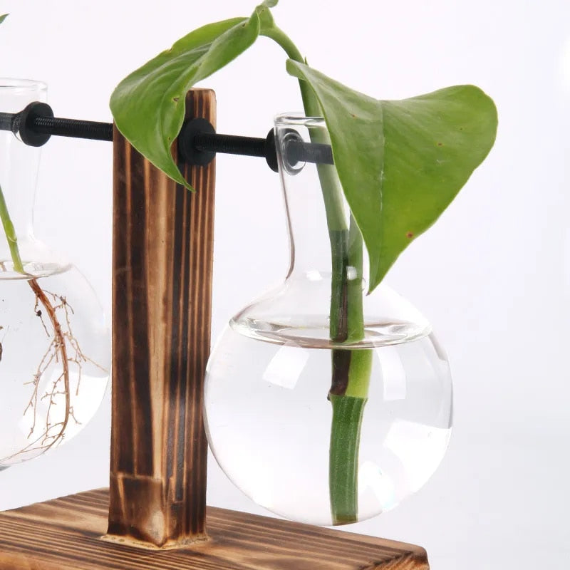 Green Haven Desktop Hydroponic Vase