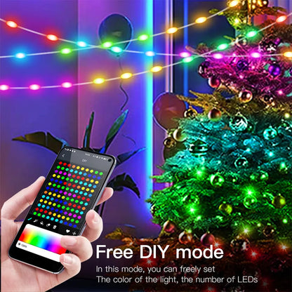 RGB Mode 20M Bluetooth Addressable Christmas Lights