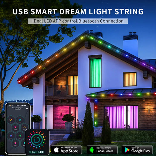 RGB Mode 20M Bluetooth Addressable Christmas Lights